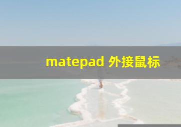 matepad 外接鼠标